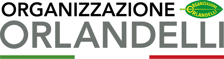 Logo Orlandelli